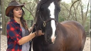 The Natural Horsewoman  Natural Horsemanship [upl. by Thorpe]