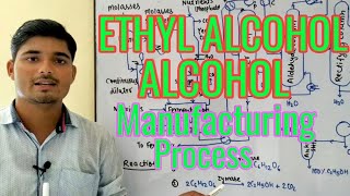 Ethyl alcohol  Ethanol  Alcohol manufacturing process  Chemical Pedia [upl. by Drofdarb]