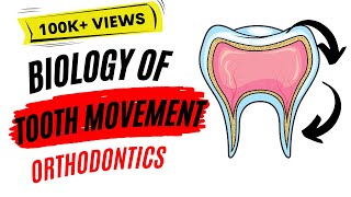 Biology of tooth movement [upl. by Haon]