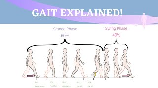 Gait Range of Motion Animation [upl. by Otrebor746]