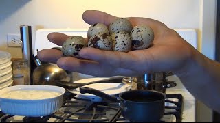 How To Hard Boil Quail Eggs [upl. by Albie]