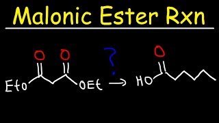 Malonic Ester Synthesis Reaction Mechanism [upl. by Emma118]