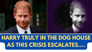 HARRY FINDS OUT ITS A DOG’S LIFE AS CRISIS BUILDS LATEST princeharrry meghan meghanmarkle [upl. by Ayhay]