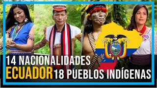 PUEBLOS Y NACIONALIDADES INDÍGENAS DEL ECUADOR [upl. by Enialehs]