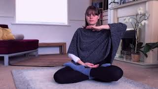 Meditation Falun Dafa Exercise 5 Demonstration Qigong Practise [upl. by Naehs975]