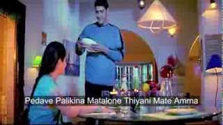 pedave palikina nani telugu movie song lyrics [upl. by Winny]