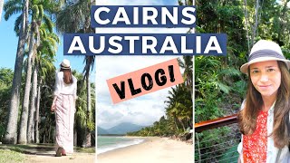 CAIRNS Australia Travel Vlog Solo Trip to Daintree Rainforest Cape Tribulation and Palm Cove [upl. by Camel]