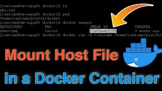 How To Mount a Host Files in a Docker Container [upl. by Aneala]