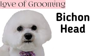 Bichon Head Grooming [upl. by Kariv]