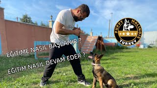 YAVRULARDA EĞİTİME NASIL BAŞLANIR NASIL ÇALIŞILIR [upl. by Gilud976]