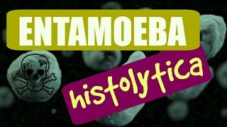 Amibiasis Entamoeba histolytica PARTE 1 ❤ [upl. by Sleinad]