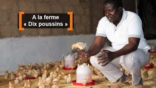 Burkina Faso  A la ferme « Dix poussins » [upl. by Afton]