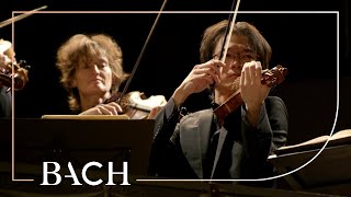 Bach  Orchestral Suite no 1 in C major BWV 1066  Sato  Netherlands Bach Society [upl. by Andree]