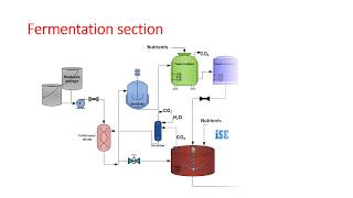 Ethyl alcohol manufacturing by molasses fermentation [upl. by Jean-Claude612]