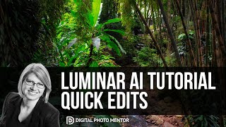 Luminar AI Tutorial  Quick Editing Tips for Amazing Photos [upl. by Esmond]