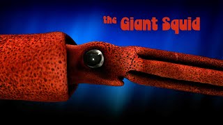 Inside Nature’s Giants – Giant Squid [upl. by Dachi]