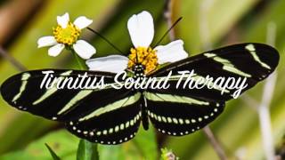 Best Tinnitus Sound Therapy Ever [upl. by Ansev775]