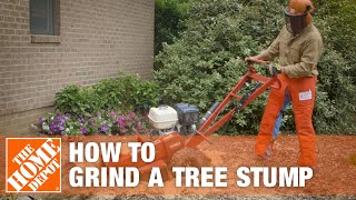 How To Grind A Tree Stump  The Home Depot [upl. by Elrahc872]