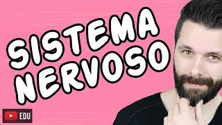 SISTEMA NERVOSO  FISIOLOGIA  Aula  Biologia com Samuel Cunha [upl. by Sachs549]