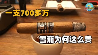 一支烟堪比一套房，世上最贵雪茄100万欧元！它凭啥敢卖这么贵？ [upl. by Orwin]