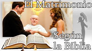 Todo acerca de el Matrimonio Según la Biblia El Amor Padre Luis Toro [upl. by Santoro]