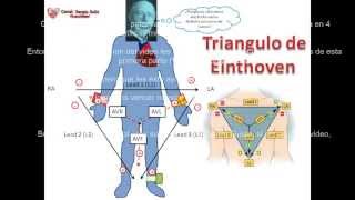 1 Sistema de mando del Corazon y el Triangulo de Einthoven el secreto del ECG [upl. by Remas511]