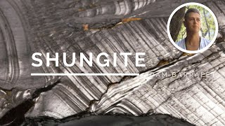 Shungite  The Crystal of Ancestral Healing [upl. by Annaeirb]