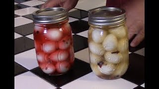 Making pickled quail eggs  Southern style [upl. by Annehsat]