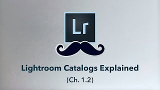 Lightroom CATALOGS Explained  Easy Tutorial [upl. by Bennink356]