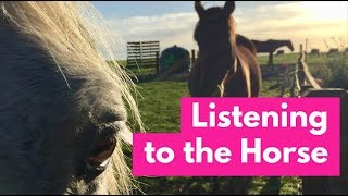 Listening to the Horse Documentary  Full Length Horse Movie Part 1 of 7 episode 1  Elaine Heney [upl. by Narat]