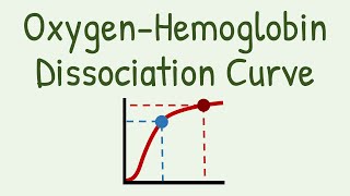 Oxygen Hemoglobin Dissociation Curve [upl. by Coletta]