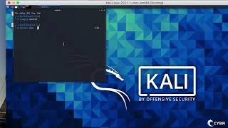 Install Docker on Kali Linux in under 3 minutes [upl. by Turk]