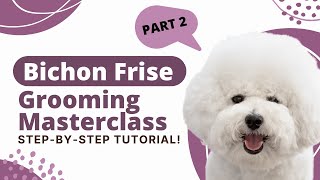 How to groom a Bichon Frise Part 2  The Dog House Pet Salon [upl. by Yart]