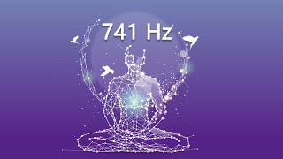 741 Hz Dissolve Toxins and Negative Thoughts Boost Immune System Meditation [upl. by Lynnea938]