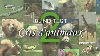 BLIND TEST  Cris danimaux n°2 [upl. by Christal526]