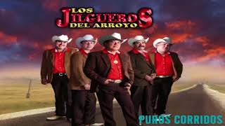 Los Jilgueros Del Arroyo  Puros Corridos Mix 2020 [upl. by Hamner]