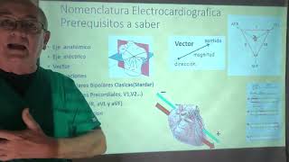 Conceptos basicos para entender el EKG Triangulo de Einthoven [upl. by Hujsak586]