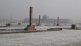 INSIDE AUSCHWITZ  Das ehemalige Konzentrationslager in 360°  WDR [upl. by Reuven]