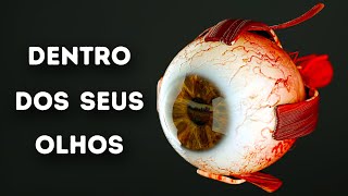 O Que Acontece Dentro Dos Seus Olhos [upl. by Erdda]