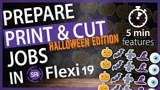 Prepare Print amp Cut Jobs in Flexi 19  HALLOWEEN EDITION 5 min Features [upl. by Eckardt]