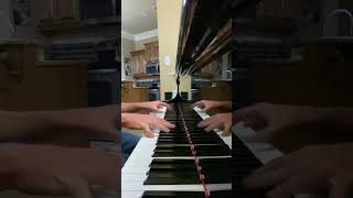 Maple Leaf Rag  Scott Joplin [upl. by Arabella557]