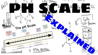 The pH Scale Explained [upl. by Araeit]