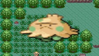 How to find Shroomish in Pokemon Ruby and Sapphire [upl. by Aneleiram]