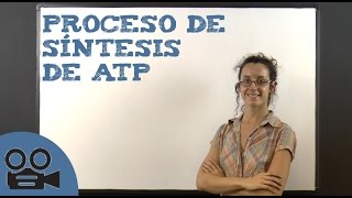 Proceso de síntesis de ATP [upl. by Lawan]