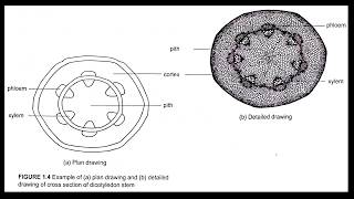 BIOLOGY FORM 4 KSSM CHAPTER 1 INTRODUCTION TO BIOLOGY AND LABORATORY RULES [upl. by Codee]