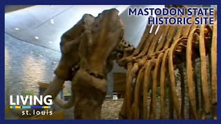 Mastodon State Historic Site  Living St Louis [upl. by Nirtiak]