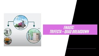 Enagic Trifecta  Quad Breakdown [upl. by Adlesirg]