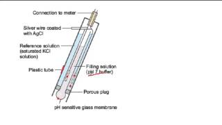 How a pH probe works [upl. by Yelena]