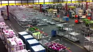 The Largest Flower Market in the World Aalsmeer Holland [upl. by Akoyin]