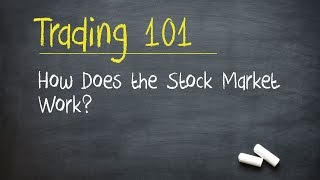 Trading 101 How Does the Stock Market Work [upl. by Ahter61]